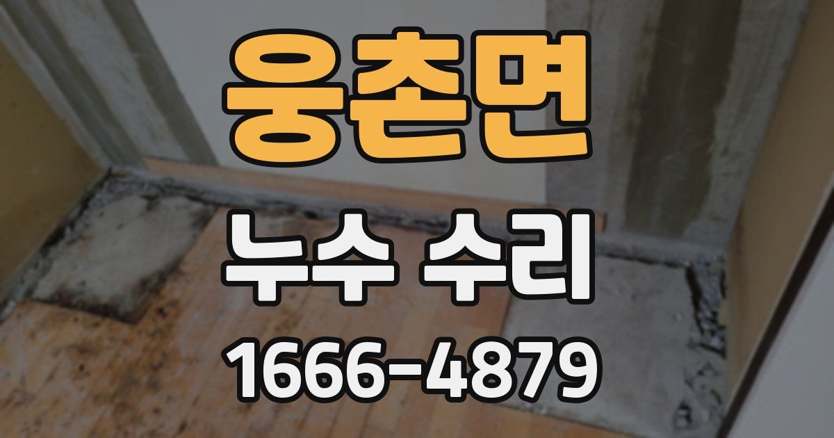 웅촌면 누수 수리