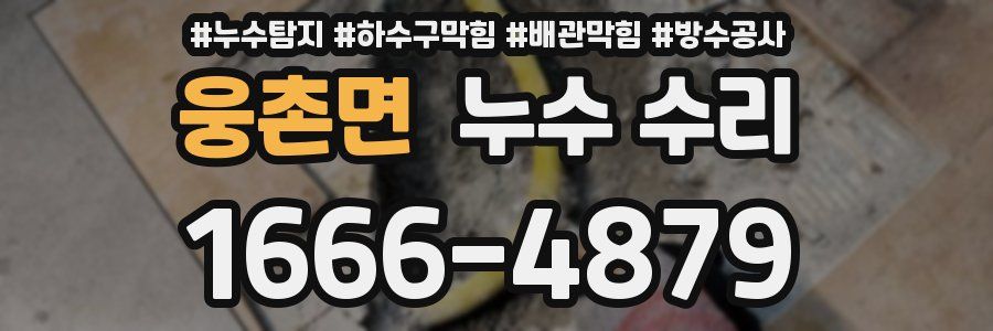 웅촌면 누수 수리