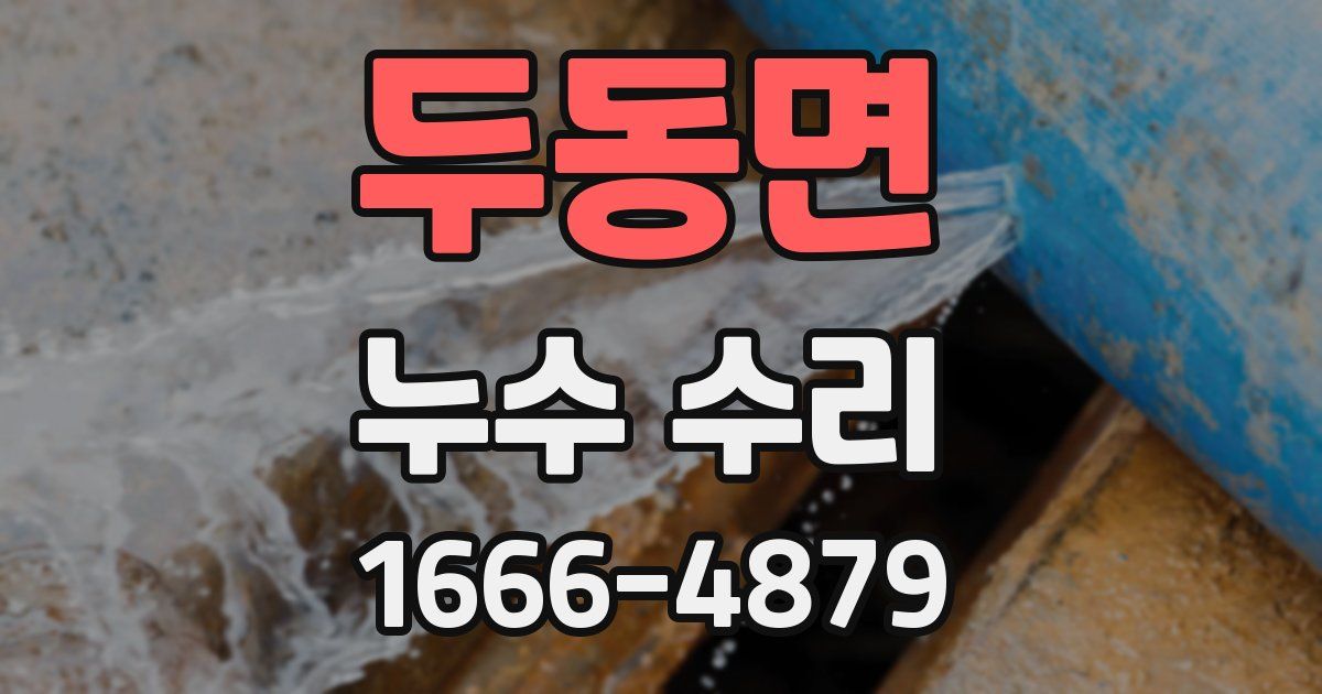 두동면 누수 수리