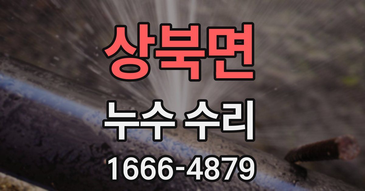 상북면 누수 수리