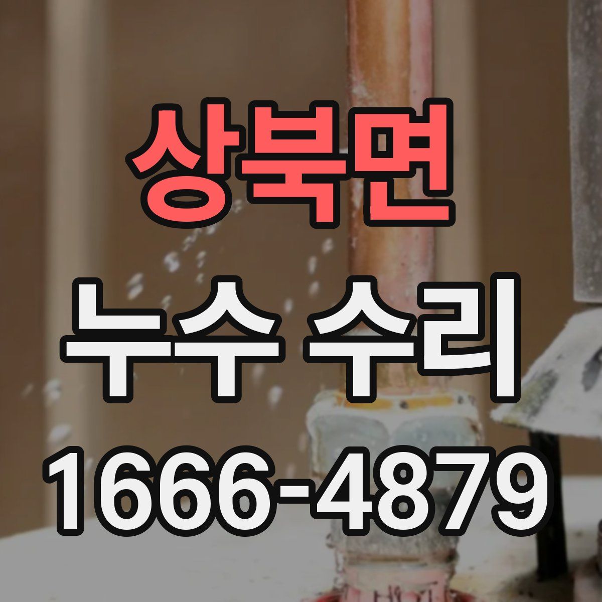 상북면 누수 수리