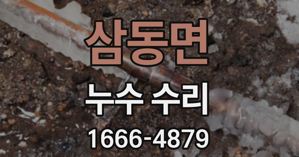 삼동면 누수 수리