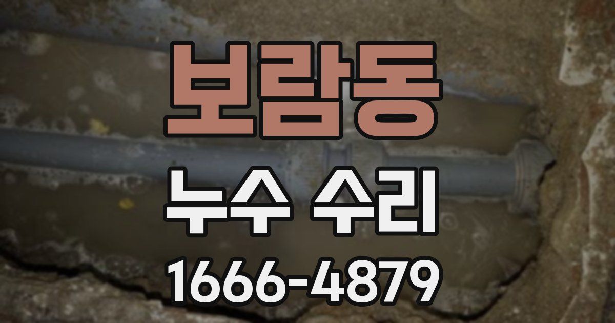 보람동 누수 수리