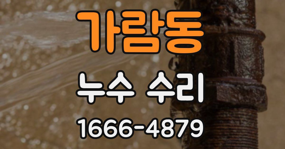 가람동 누수 수리