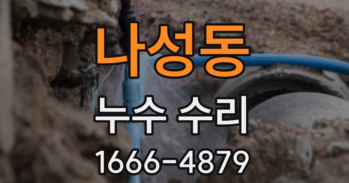 나성동 누수 수리
