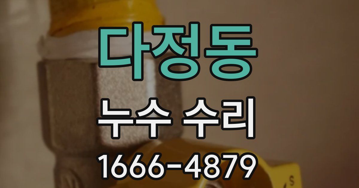 다정동 누수 수리
