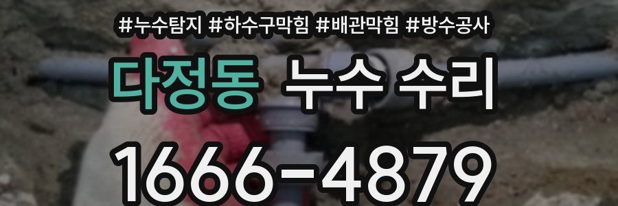 다정동 누수 수리