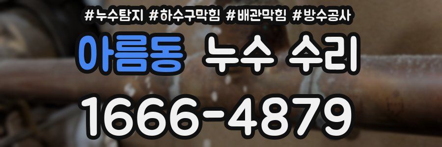 아름동 누수 수리