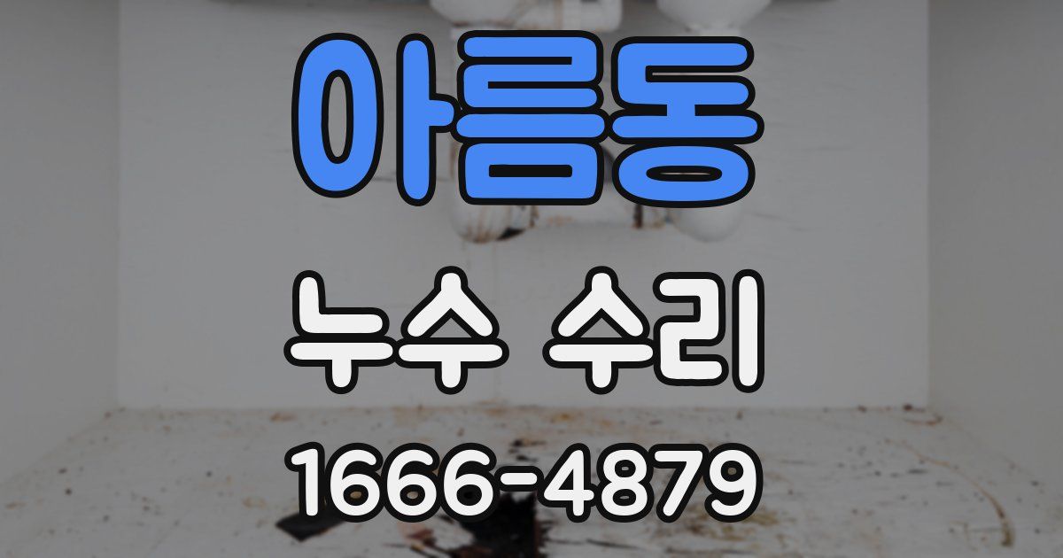 아름동 누수 수리