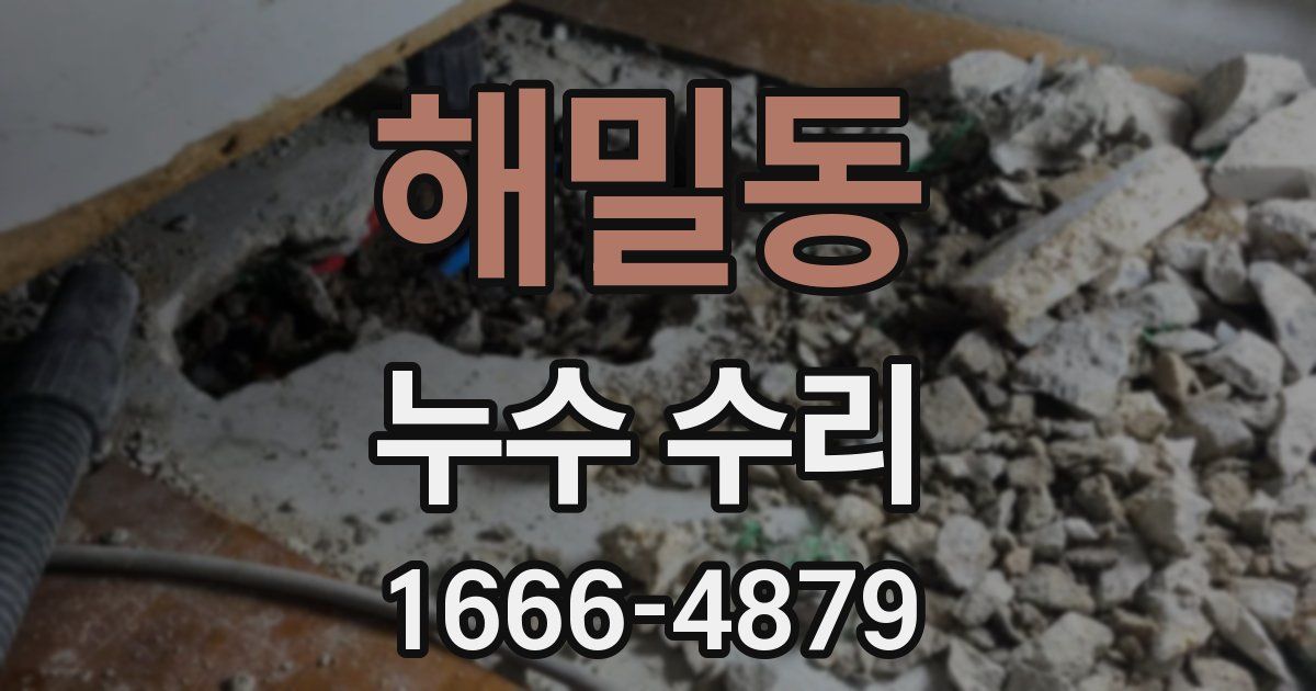 해밀동 누수 수리