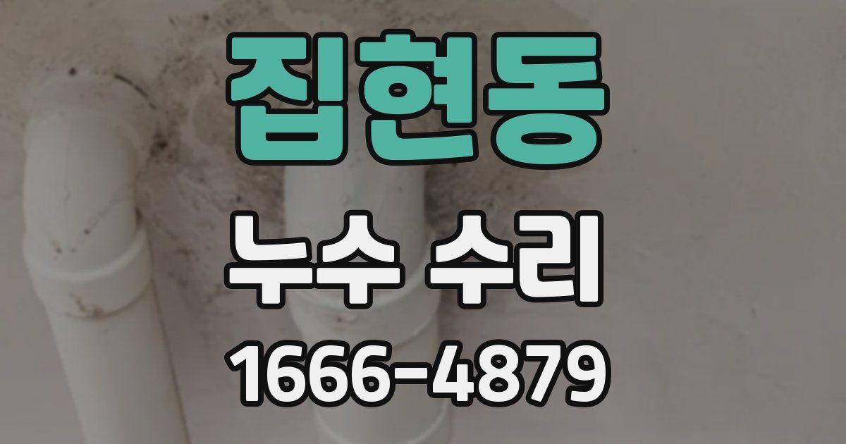 집현동 누수 수리