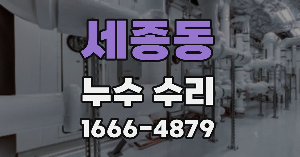 세종동 누수 수리