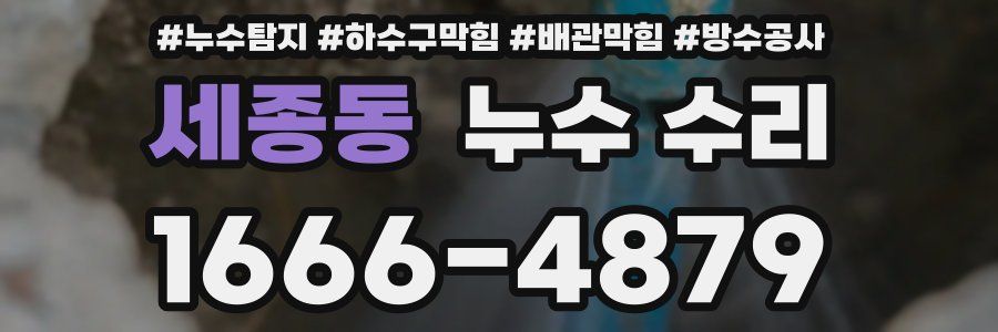 세종동 누수 수리