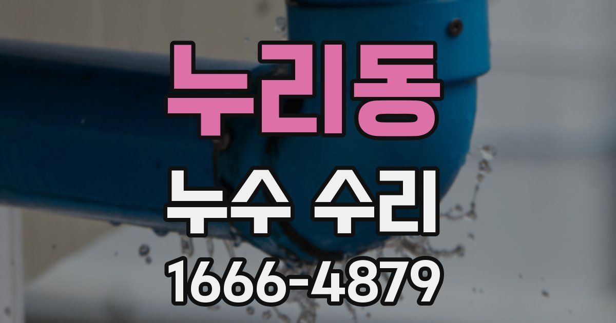 누리동 누수 수리