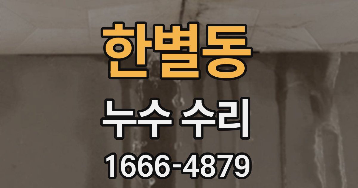 한별동 누수 수리