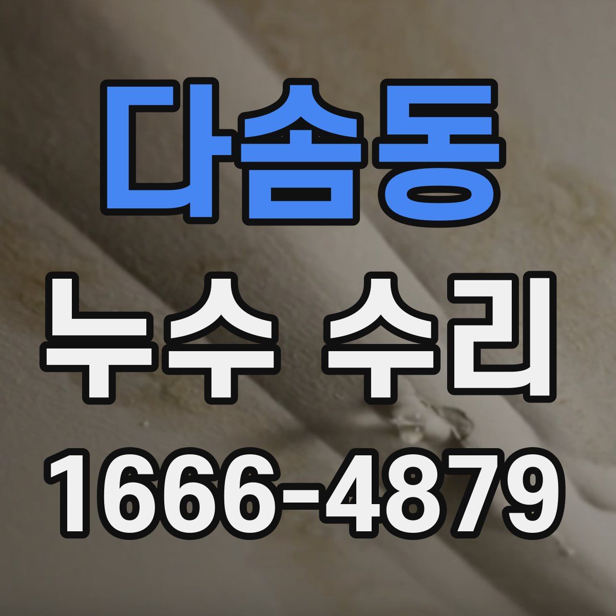 다솜동 누수 수리