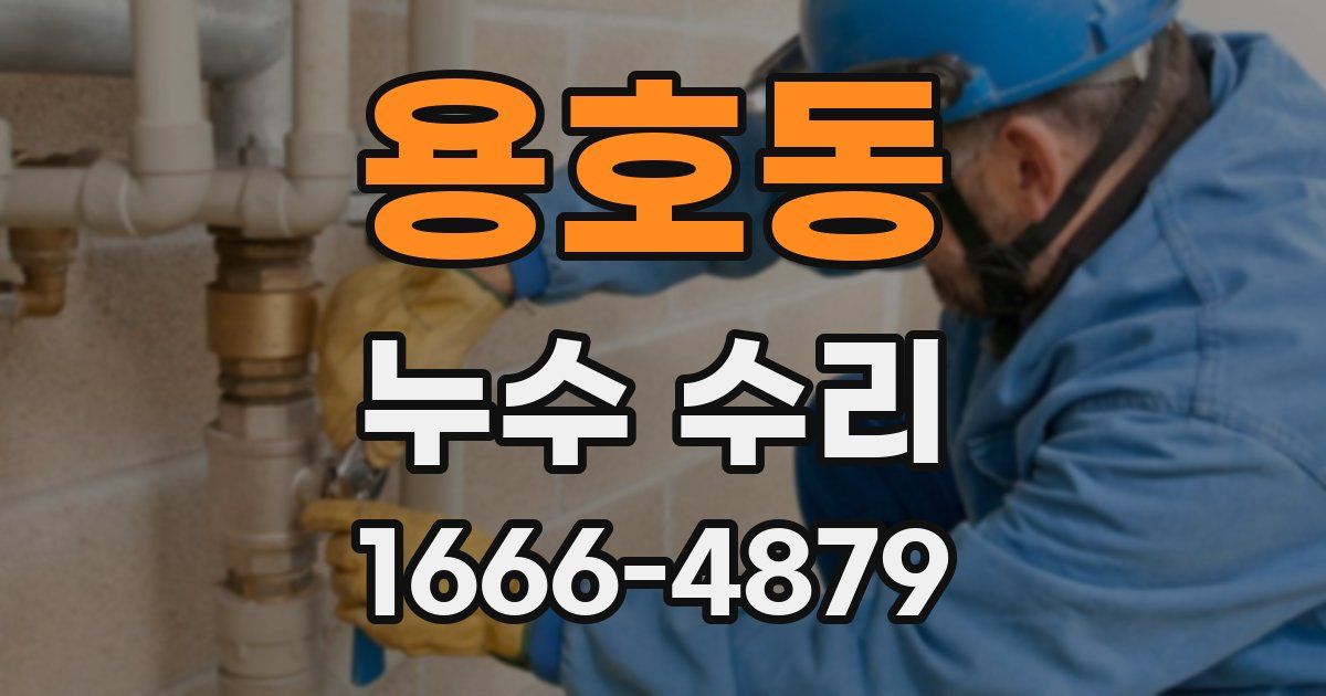 용호동 누수 수리