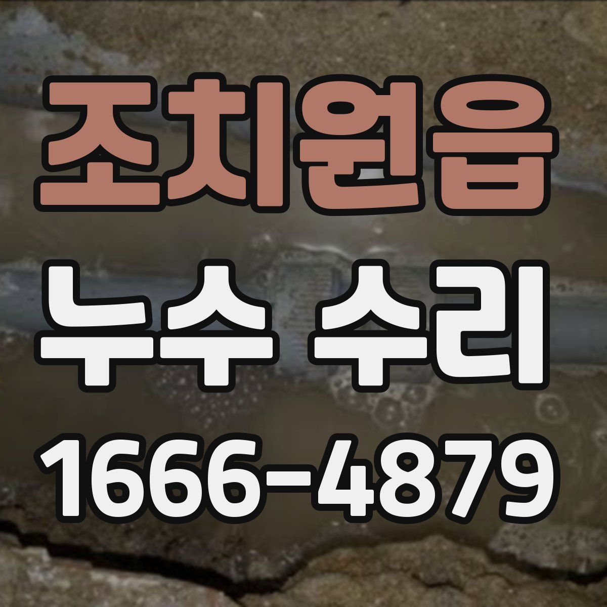 조치원읍 누수 수리