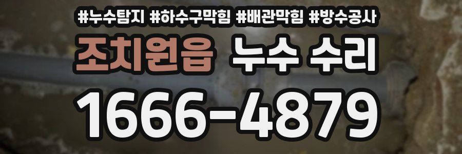 조치원읍 누수 수리