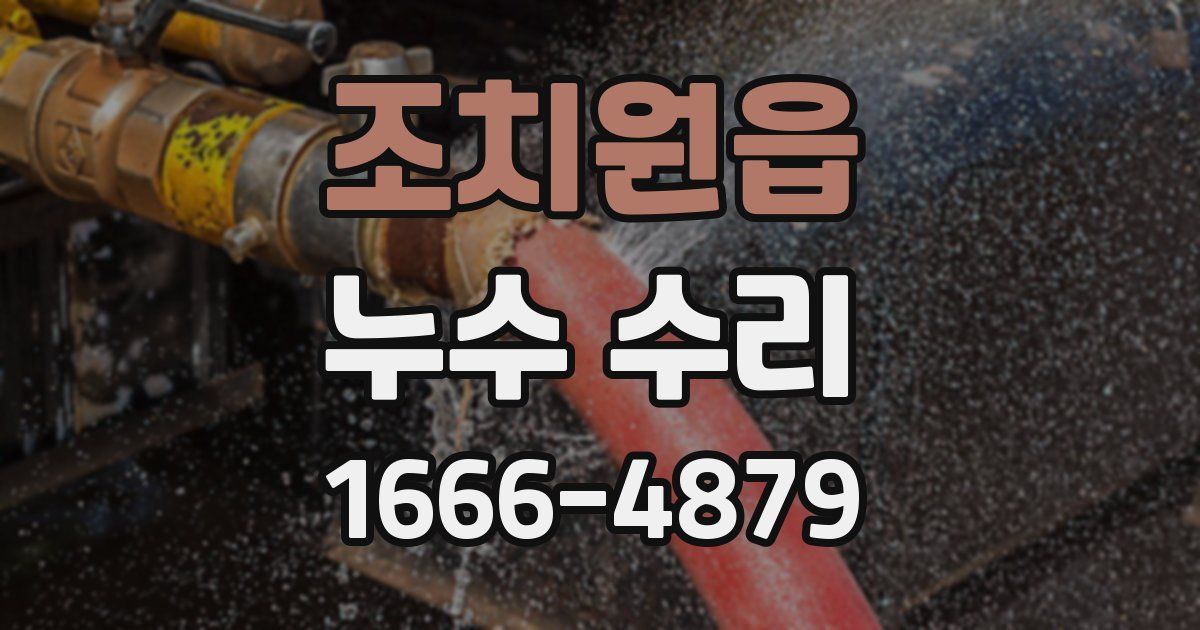 조치원읍 누수 수리