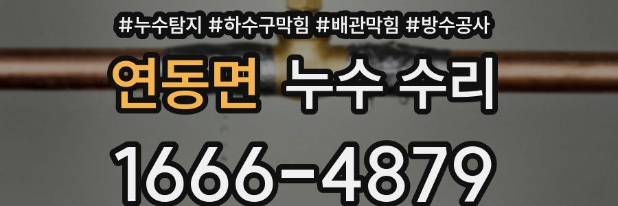 연동면 누수 수리