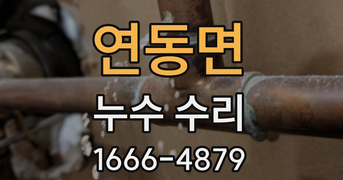 연동면 누수 수리