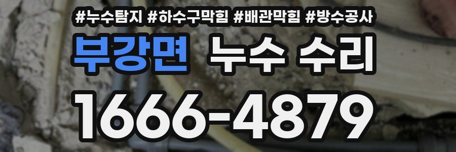부강면 누수 수리