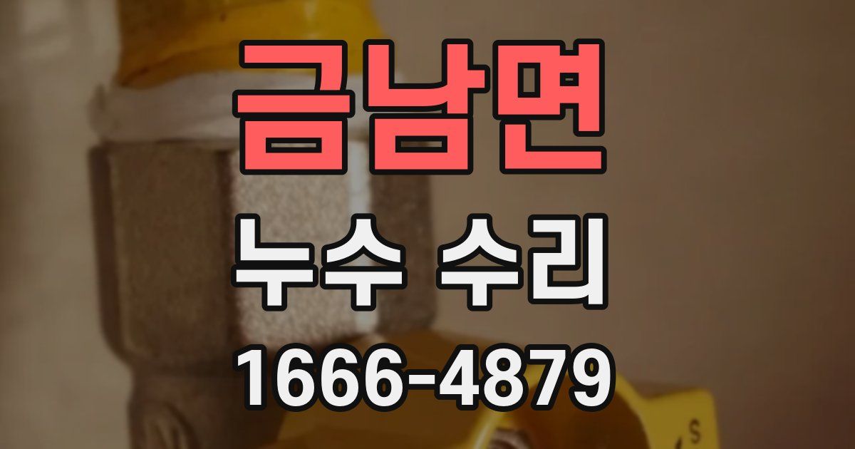 금남면 누수 수리