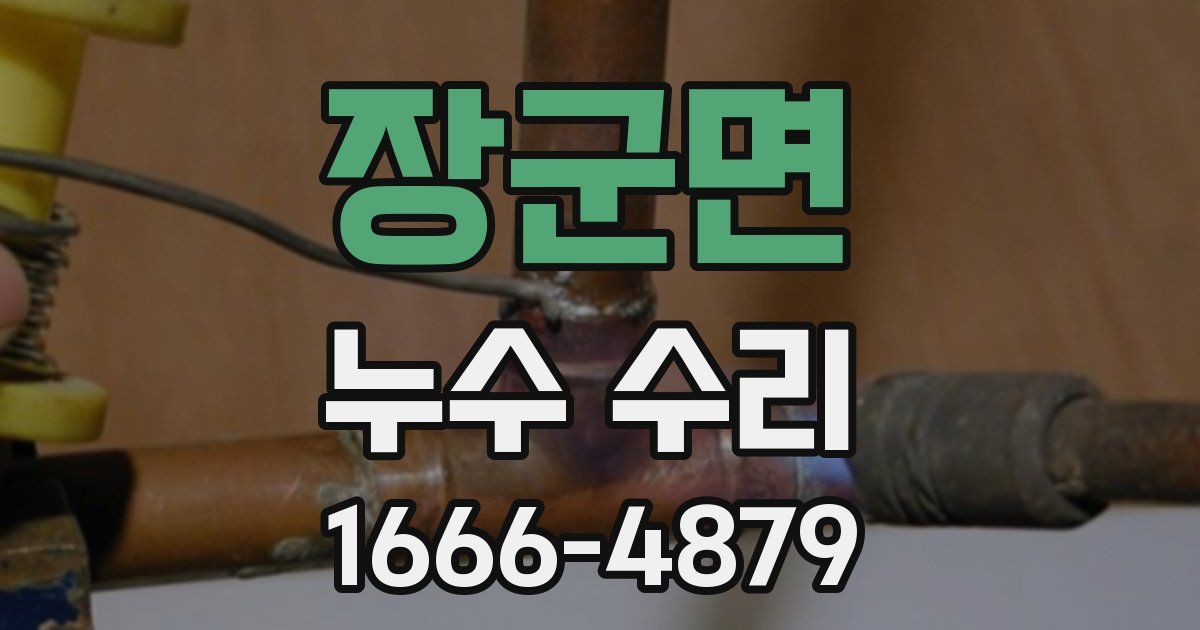 장군면 누수 수리
