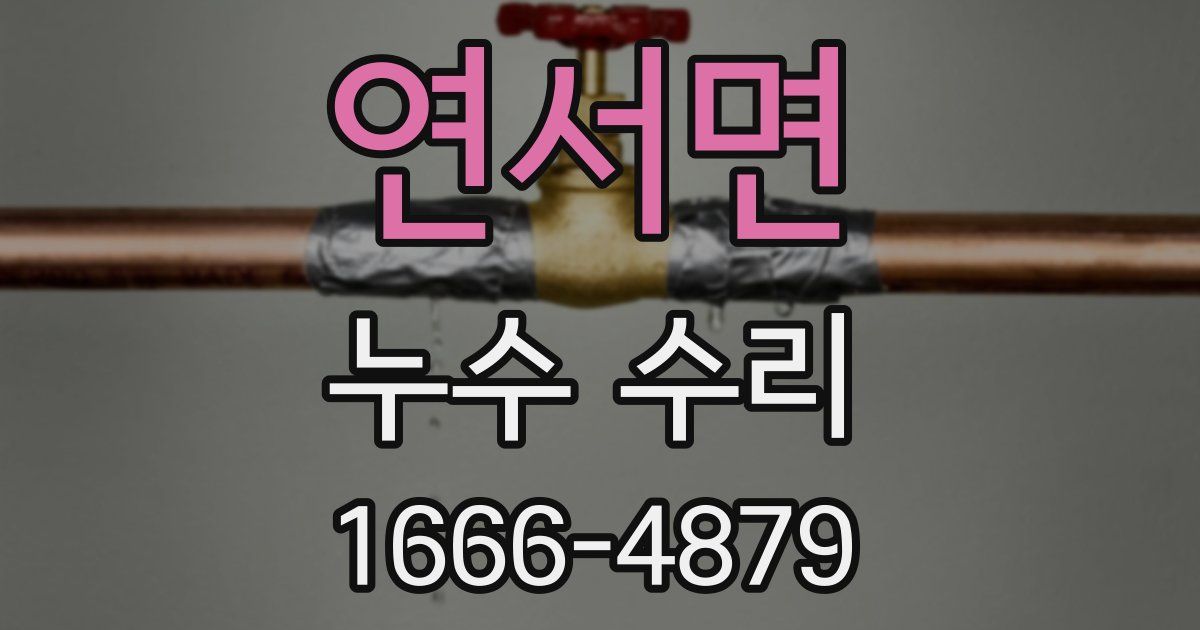연서면 누수 수리