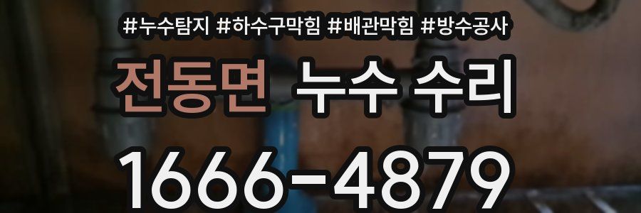 전동면 누수 수리