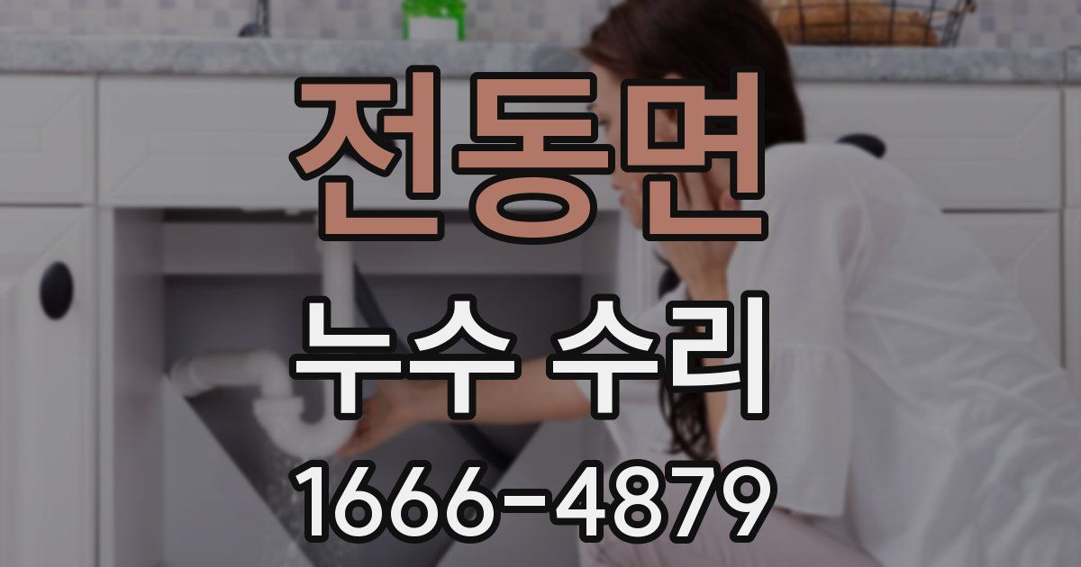 전동면 누수 수리