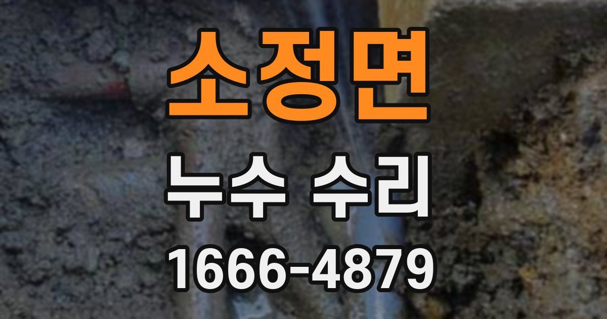 소정면 누수 수리