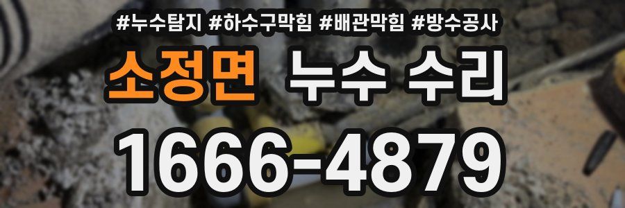 소정면 누수 수리