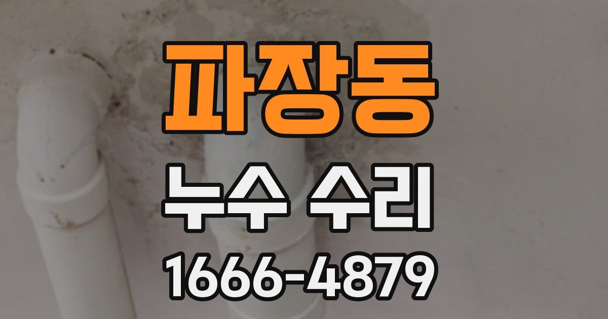 파장동 누수 수리