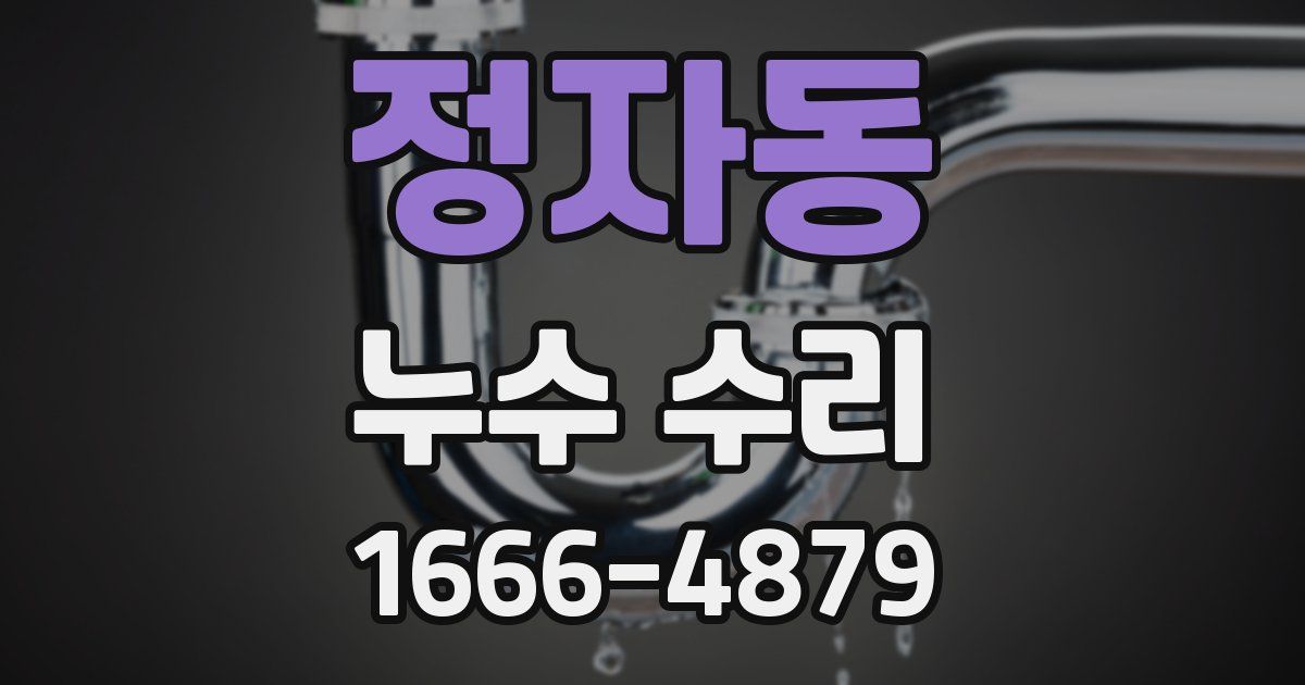 정자동 누수 수리
