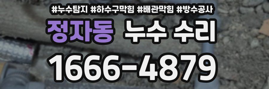 정자동 누수 수리