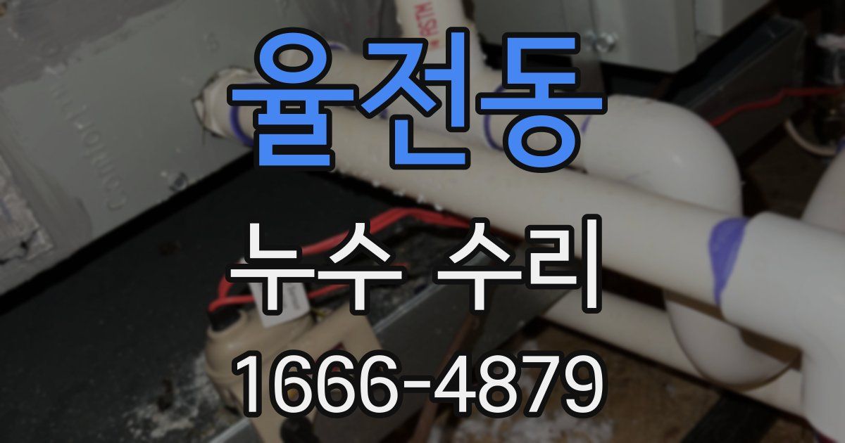 율전동 누수 수리
