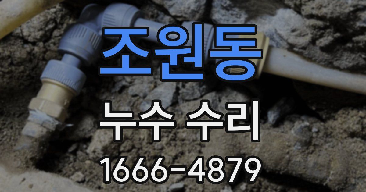조원동 누수 수리
