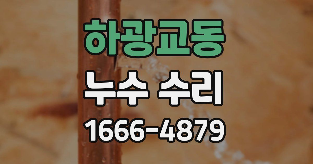 하광교동 누수 수리