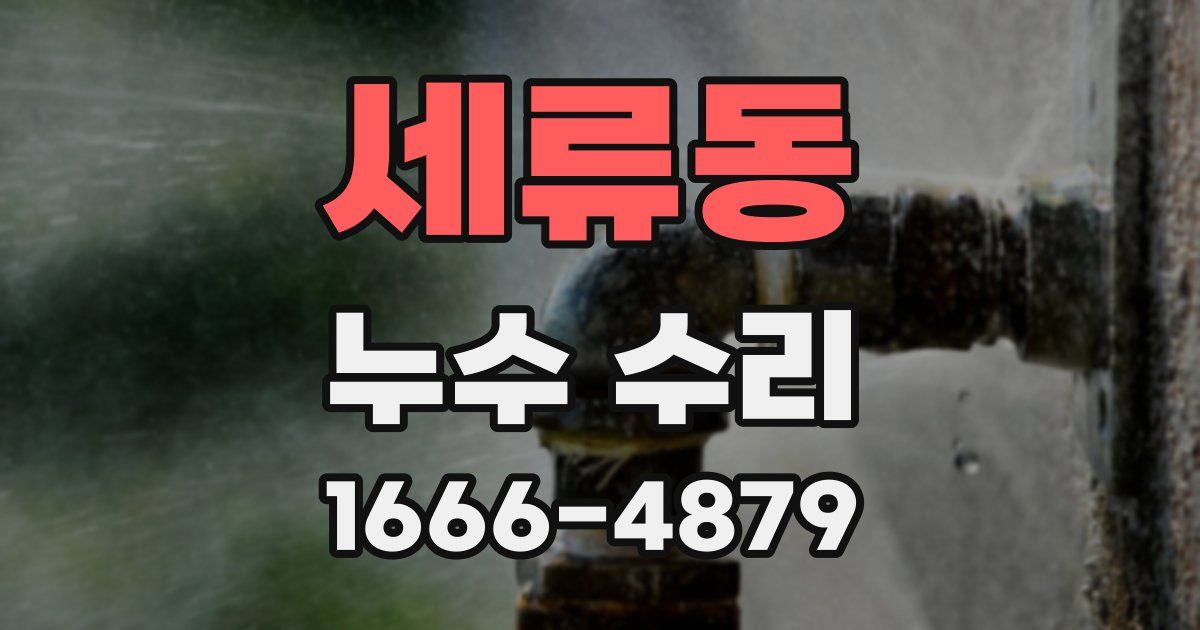 세류동 누수 수리
