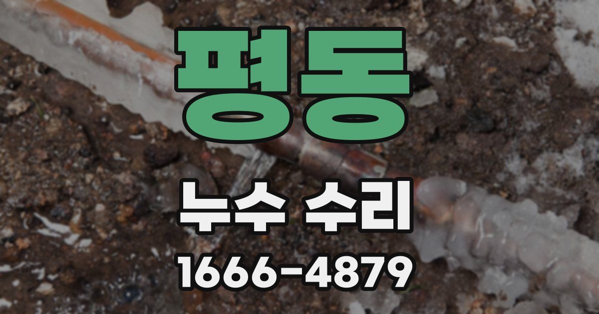 평동 누수 수리