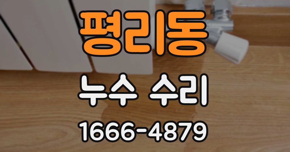 평리동 누수 수리