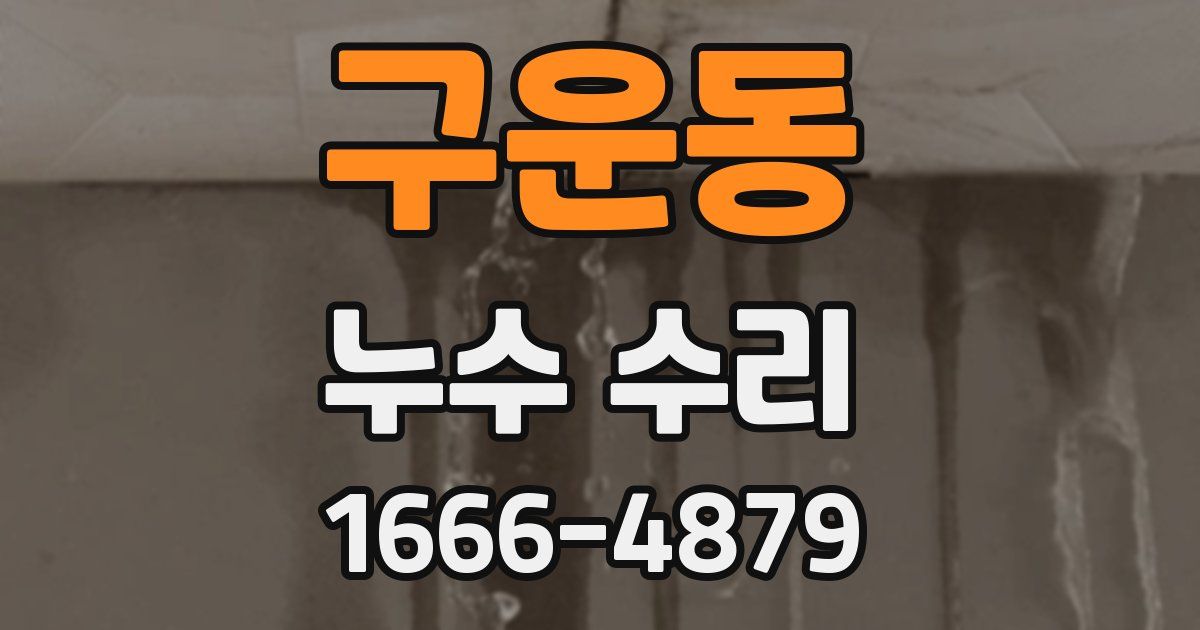 구운동 누수 수리