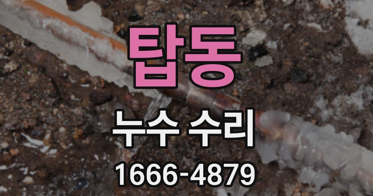 탑동 누수 수리