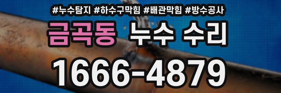 금곡동 누수 수리