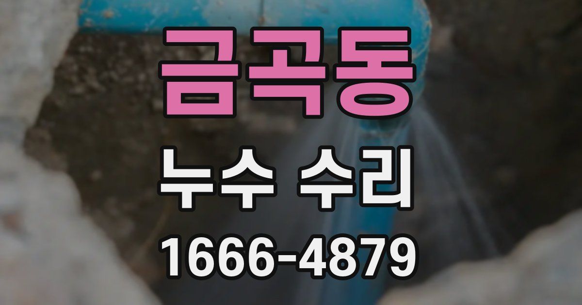 금곡동 누수 수리