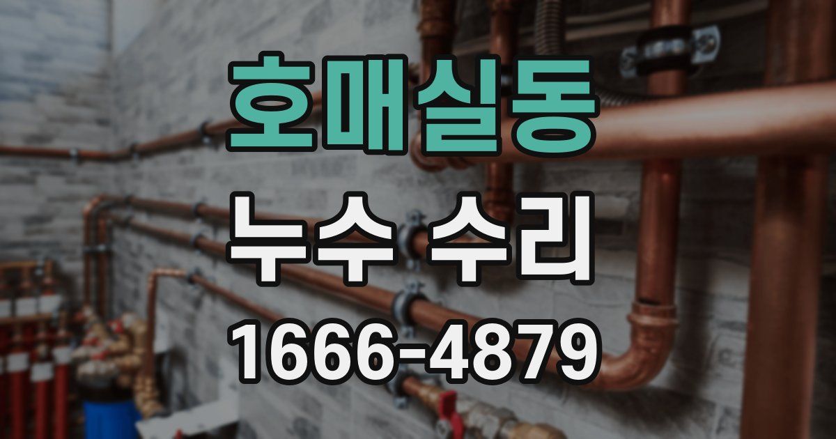 호매실동 누수 수리