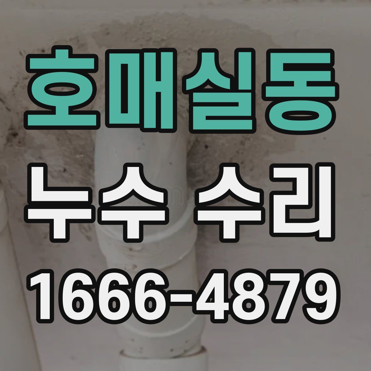 호매실동 누수 수리