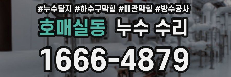 호매실동 누수 수리